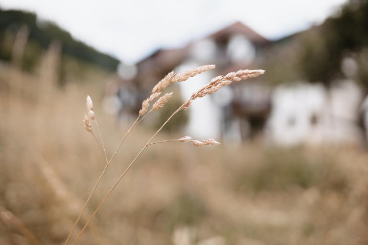 Appartamento Winter-Nest Todtnau Esterno foto