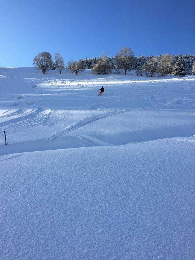 Appartamento Winter-Nest Todtnau Esterno foto